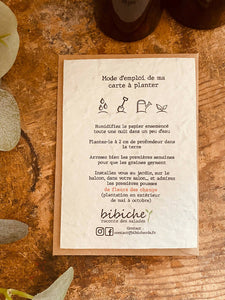 Carte à planter Merci