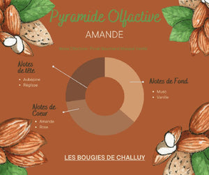 Pyramide Olfactive Amande Les Bougies de Challuy-fi34829485x1001