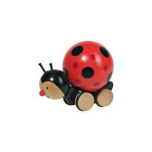 Coccinelle à pousser Marche Dès 2 ans jeux et jouets en bois éco-responsable mes produits verts